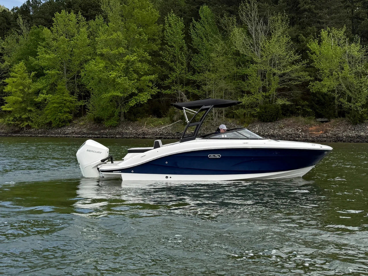 2026 Sea Ray SPX 210 Outboard 21.0 feet, Clearwater, Florida #5