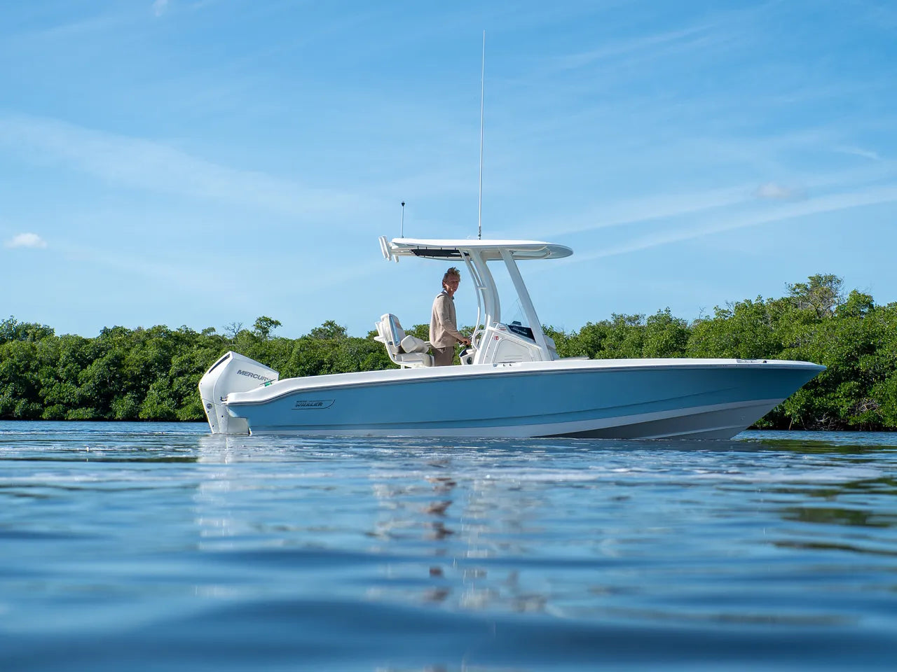2026 Boston Whaler 220 Dauntless 22.0 feet, Clearwater, Florida #1