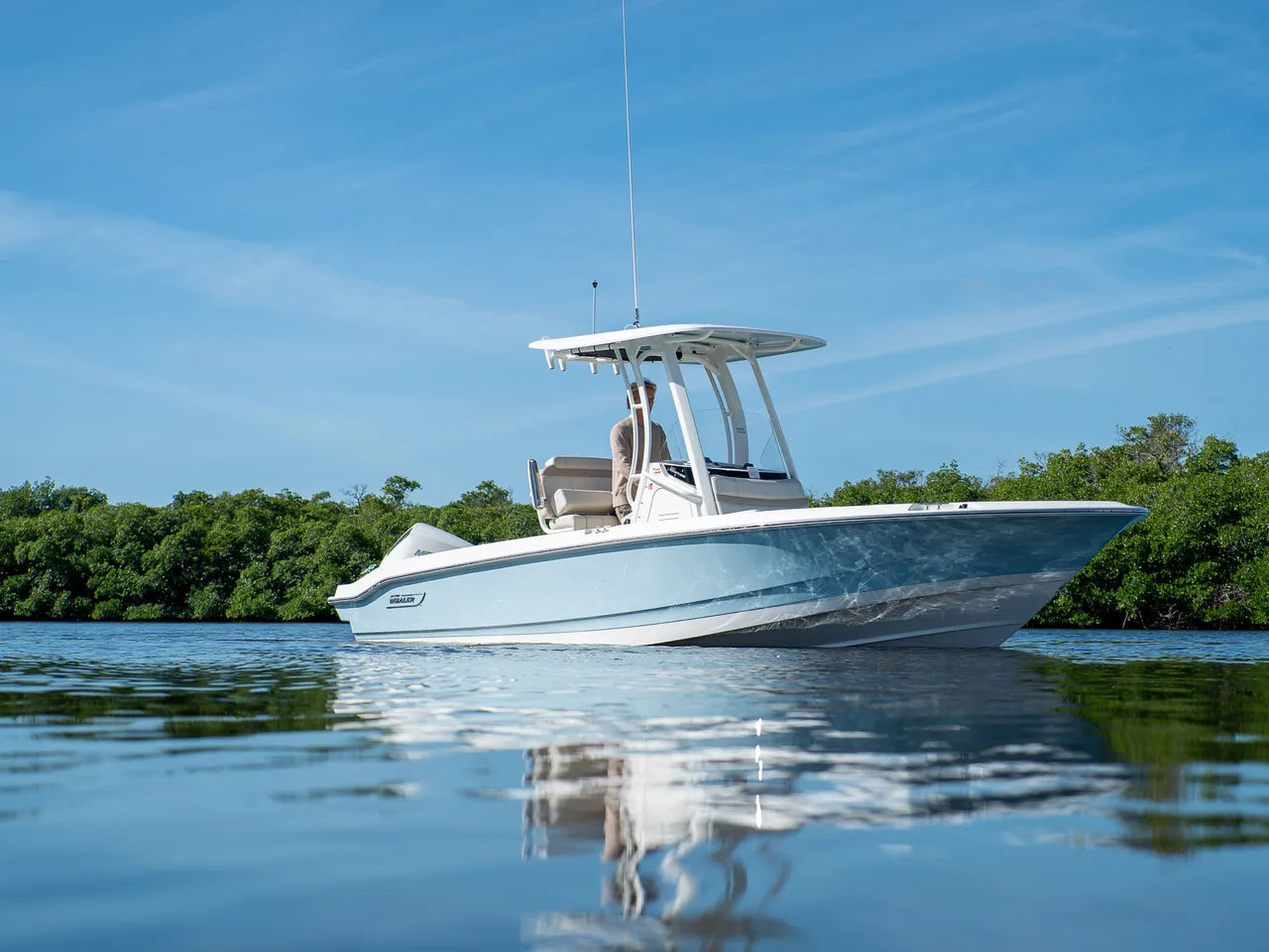 2026 Boston Whaler 220 Dauntless 22.0 feet, Clearwater, Florida #19