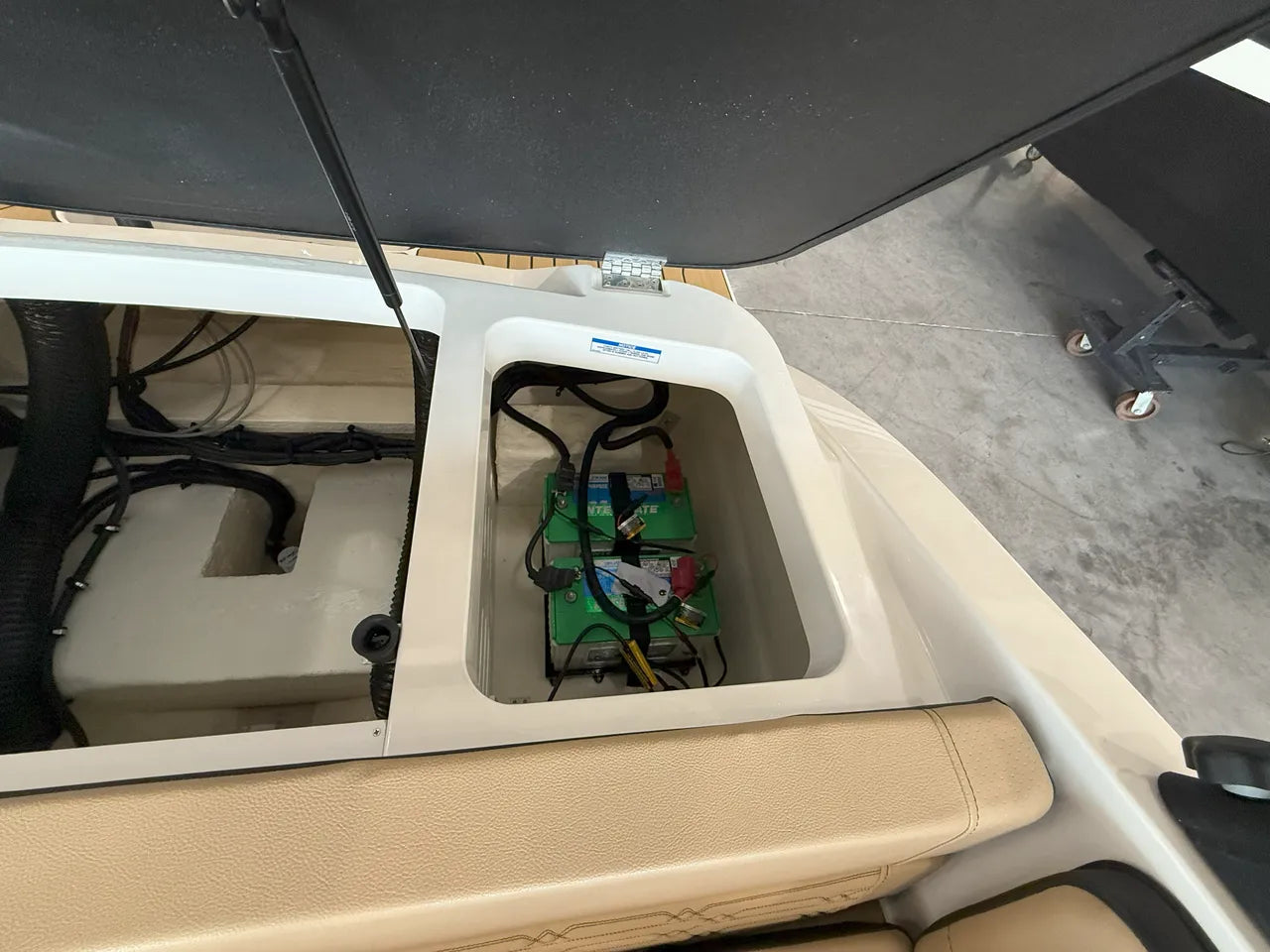 2025 Sea Ray SPX 190 Outboard 19.0 feet, Clearwater, Florida #10