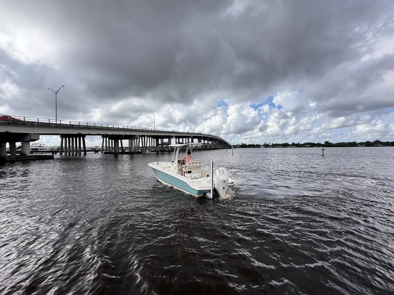 2026 Boston Whaler 250 Dauntless 25.0 feet, Clearwater, Florida #6