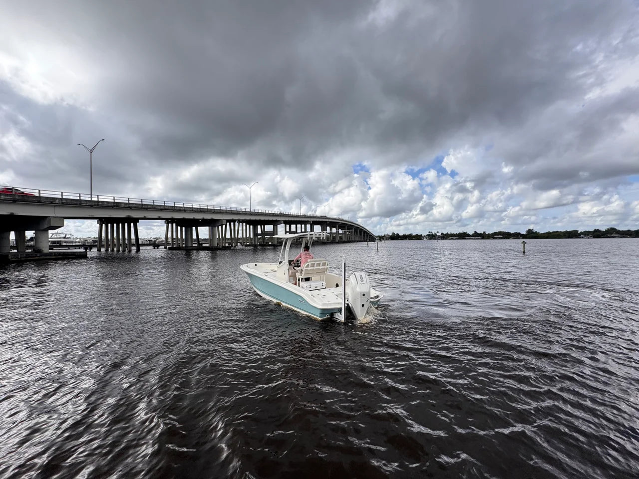 2026 Boston Whaler 250 Dauntless 25.0 feet, Clearwater, Florida #6