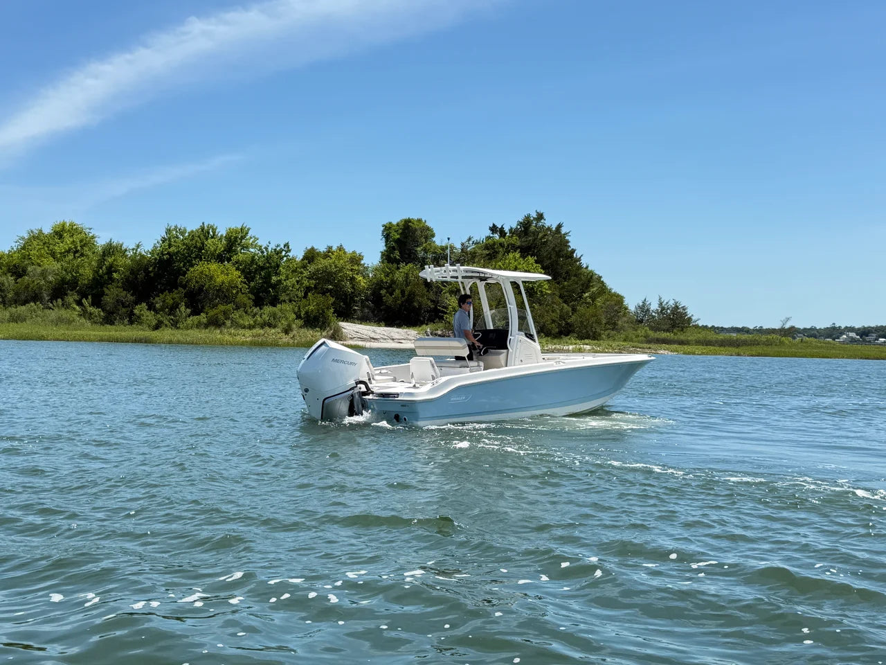 2026 Boston Whaler 250 Dauntless 25.0 feet, Clearwater, Florida #6
