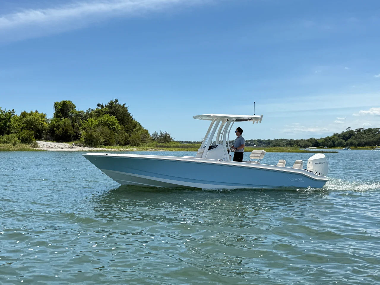 2026 Boston Whaler 250 Dauntless 25.0 feet, Clearwater, Florida #1