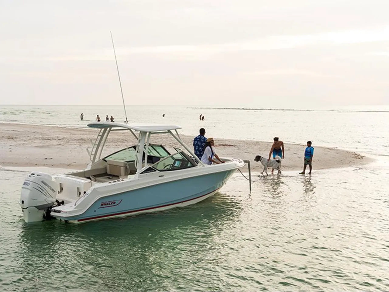 2025 Boston Whaler 240 Vantage 24.0 feet, Clearwater, Florida #53