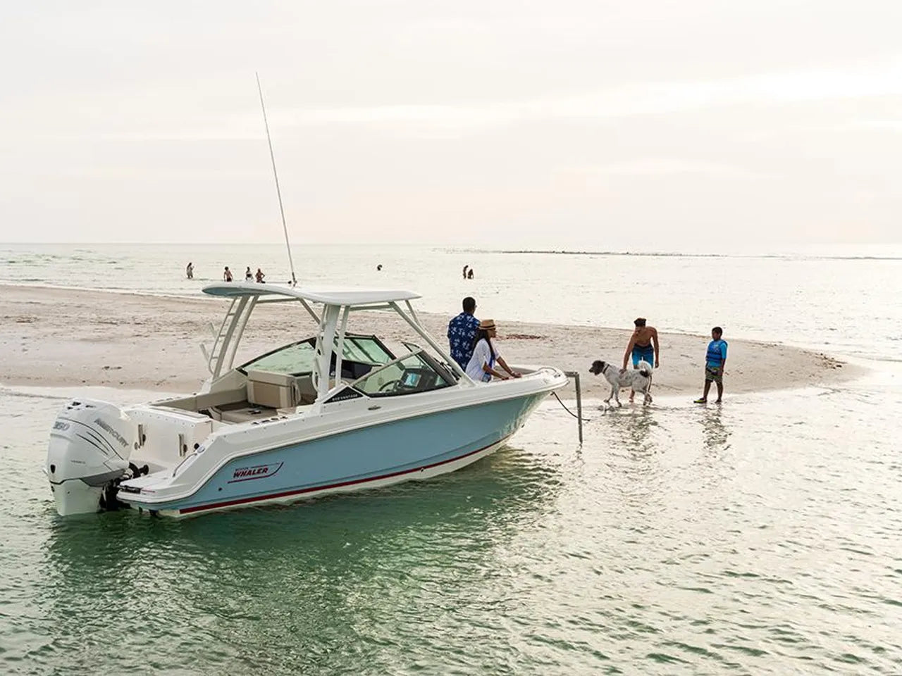 2025 Boston Whaler 240 Vantage 24.0 feet, Clearwater, Florida #65