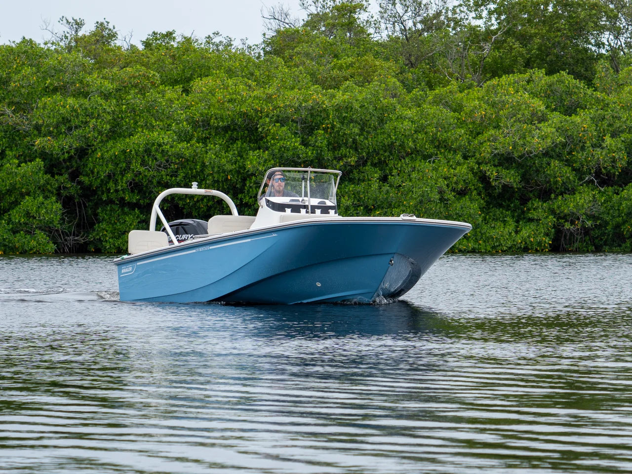 2026 Boston Whaler 170 Montauk 17.0 feet, Clearwater, Florida #14