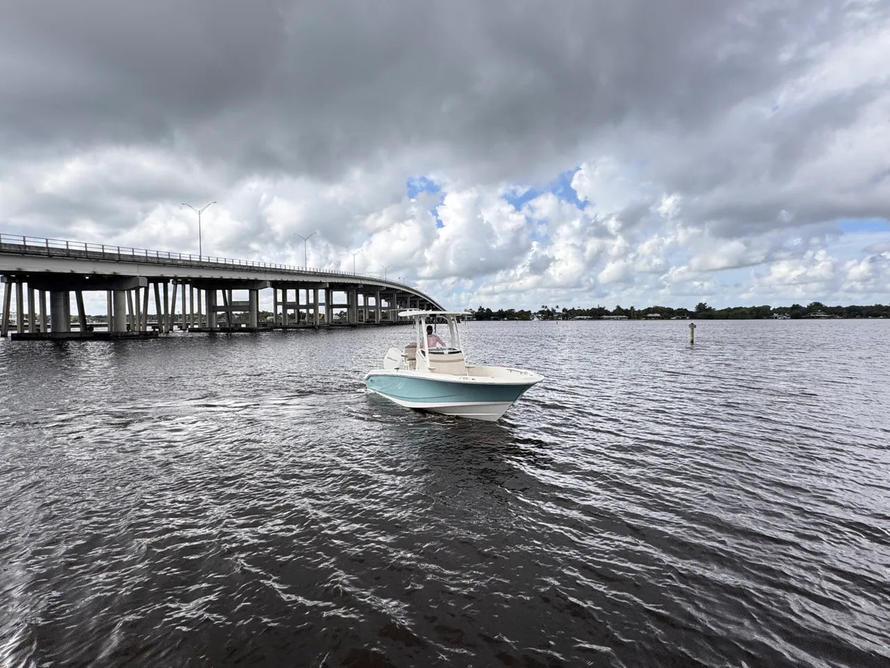 2026 Boston Whaler 250 Dauntless 25.0 feet, Clearwater, Florida #4