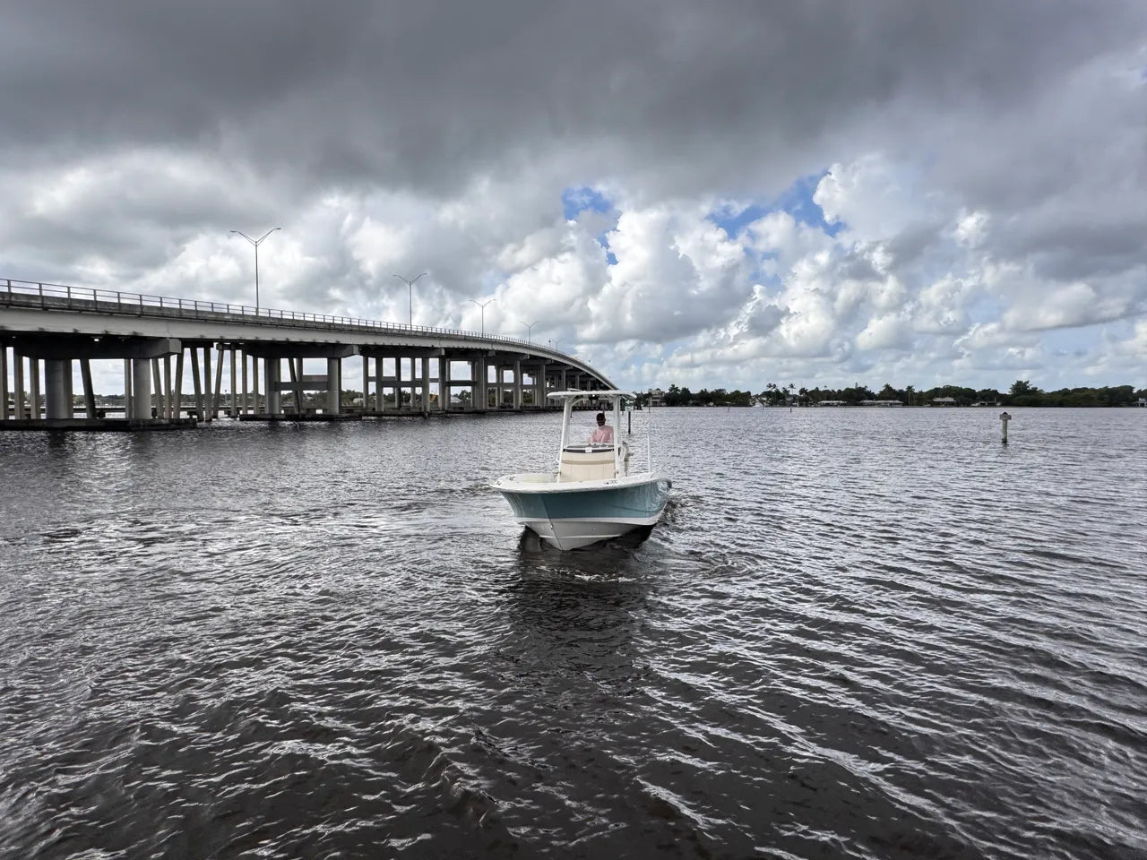 2026 Boston Whaler 250 Dauntless 25.0 feet, Clearwater, Florida #5