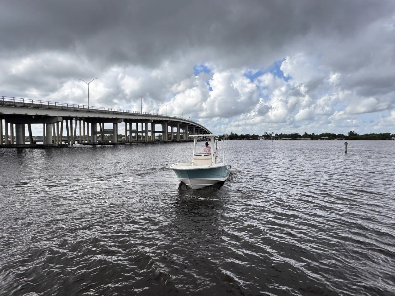 2026 Boston Whaler 250 Dauntless 25.0 feet, Clearwater, Florida #5