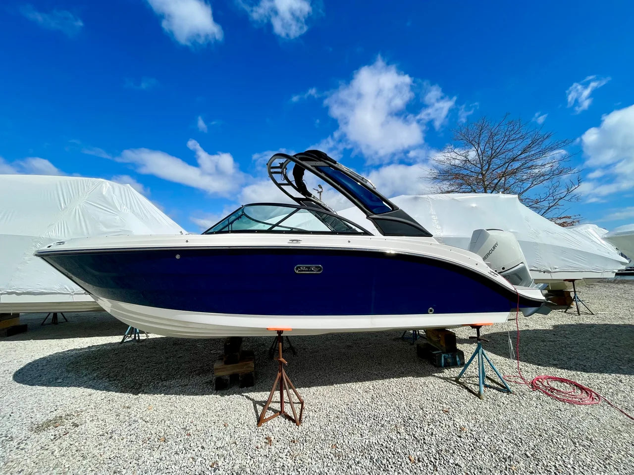 2026 Sea Ray SDX 230 Outboard 23.0 feet, Clearwater, Florida #1