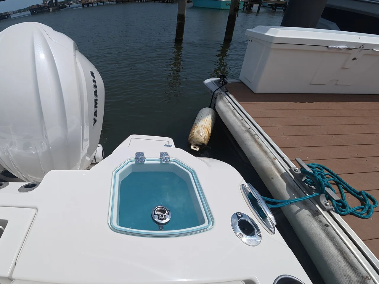2025 Sailfish 272 CC 27.0 feet, Clearwater, Florida #8
