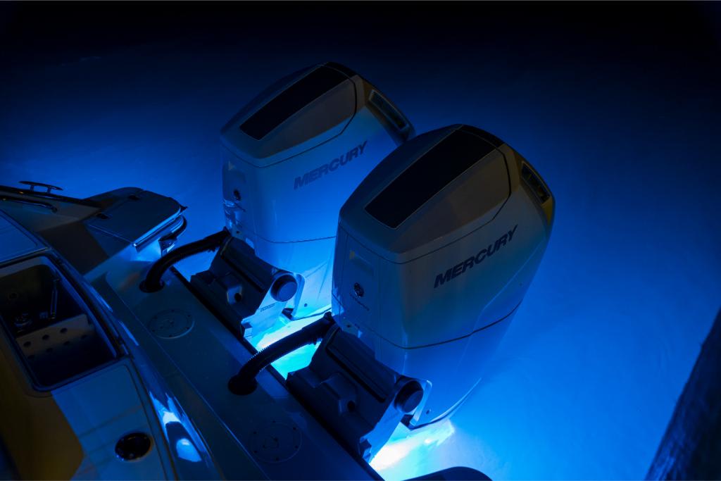 IIQ - Image