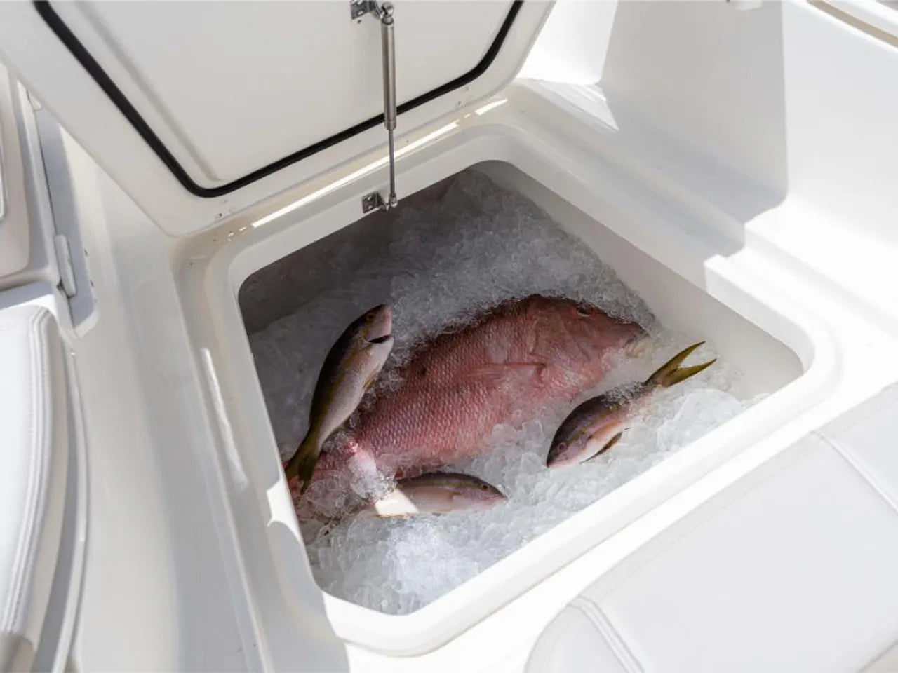 2025 Boston Whaler 280 Dauntless 28.0 feet, Clearwater, Florida #71