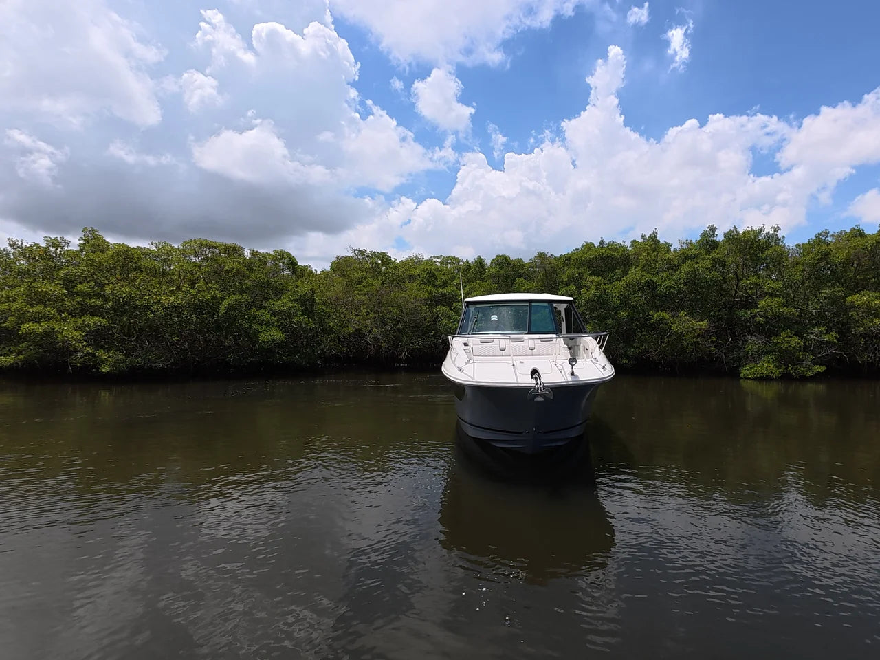2026 Sea Ray Sundancer 320 Outboard 32.0 feet, Clearwater, Florida #8