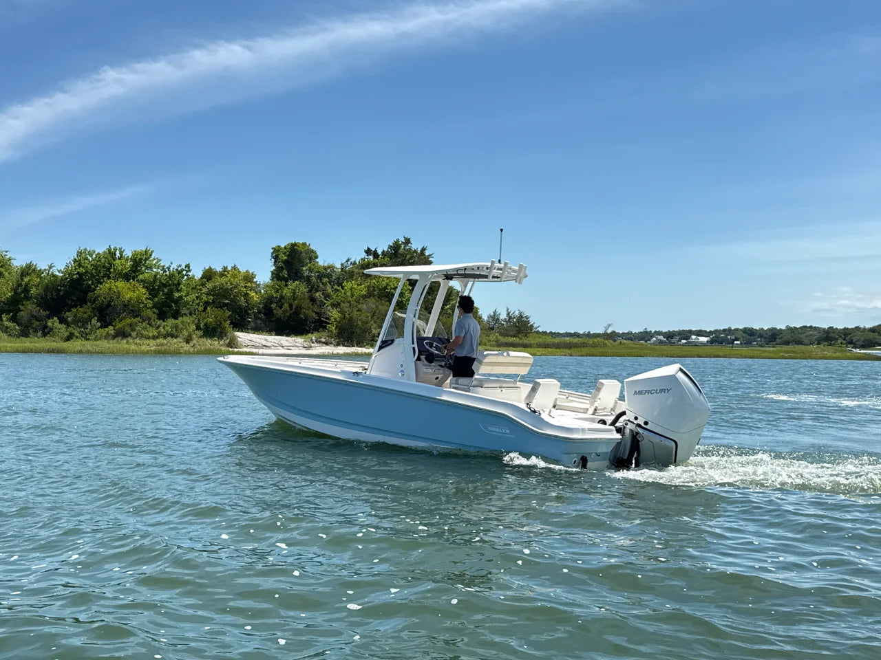 2026 Boston Whaler 250 Dauntless 25.0 feet, Clearwater, Florida #3