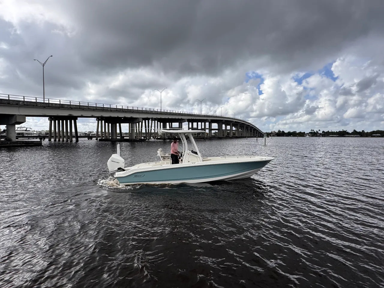 2026 Boston Whaler 250 Dauntless 25.0 feet, Clearwater, Florida #3