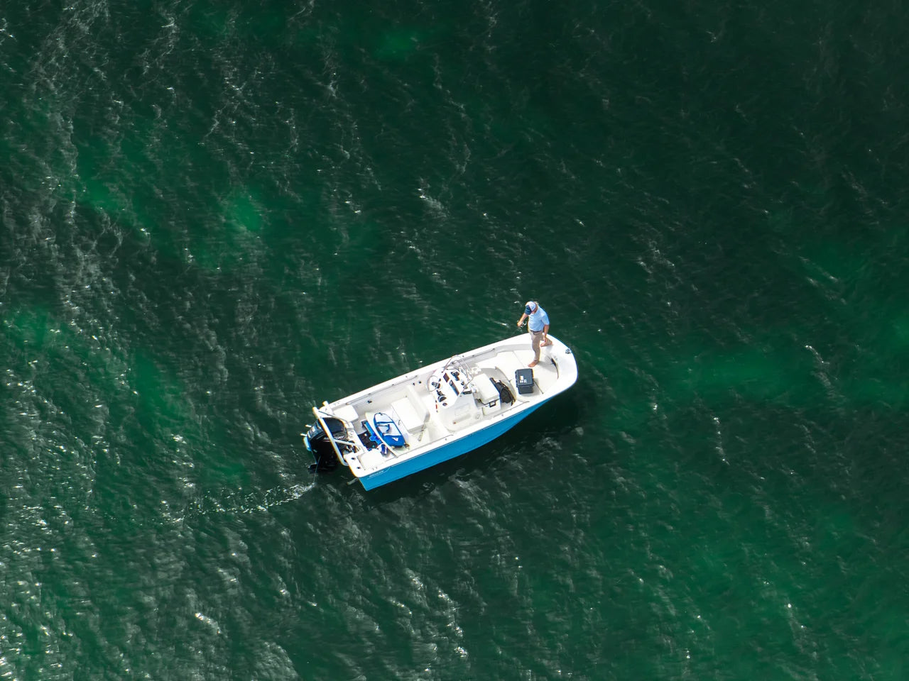 2026 Boston Whaler 170 Montauk 17.0 feet, Clearwater, Florida #4