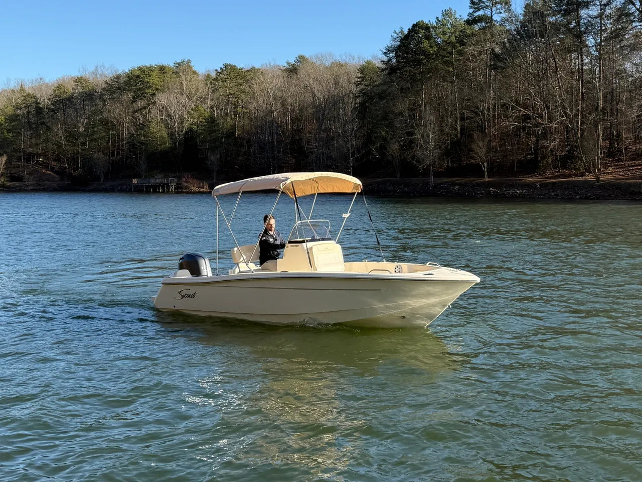 2026 Scout 188 Sportfish 18.0 feet, Clearwater, Florida #7