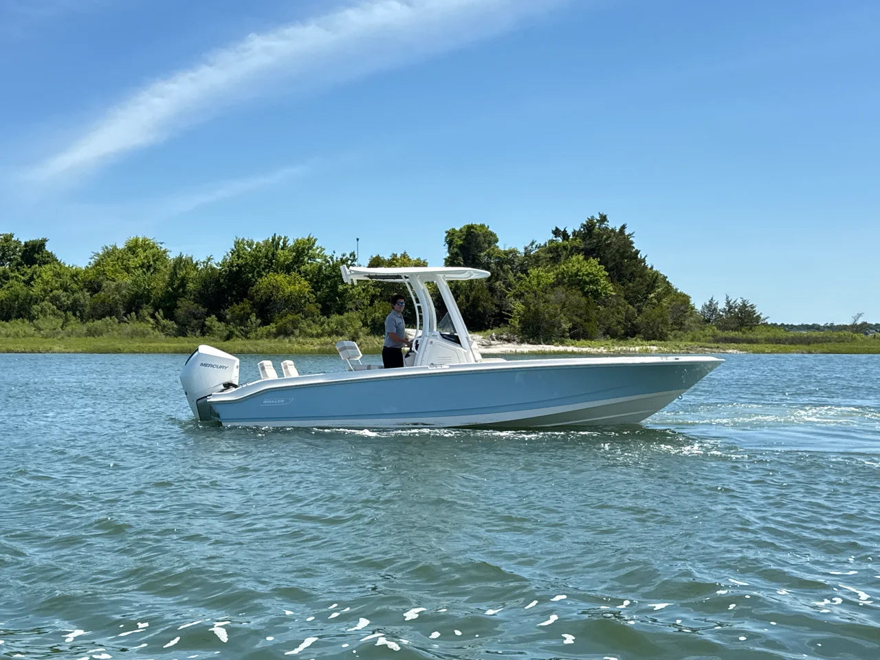 2026 Boston Whaler 250 Dauntless 25.0 feet, Clearwater, Florida #7