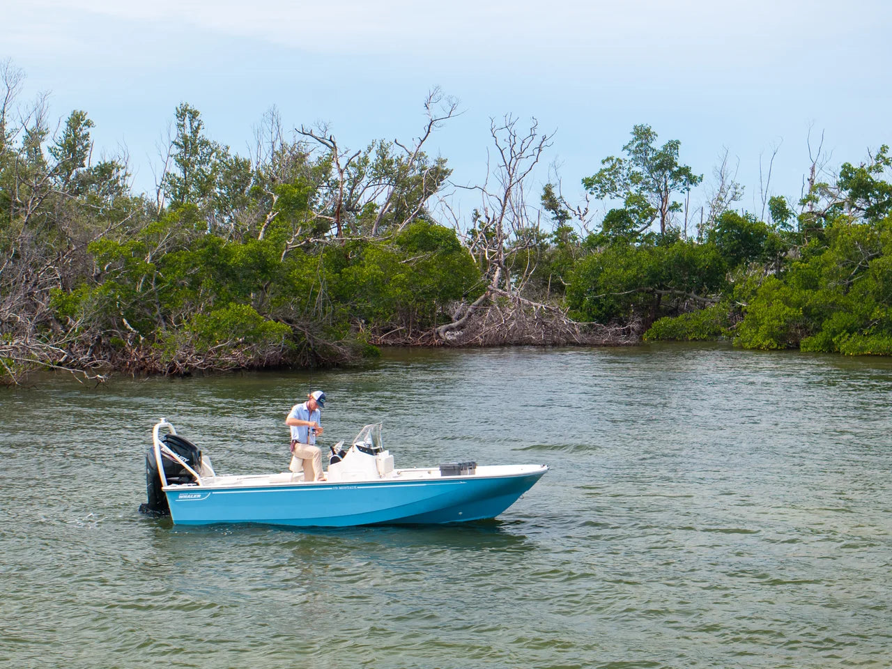 2026 Boston Whaler 170 Montauk 17.0 feet, Clearwater, Florida #5