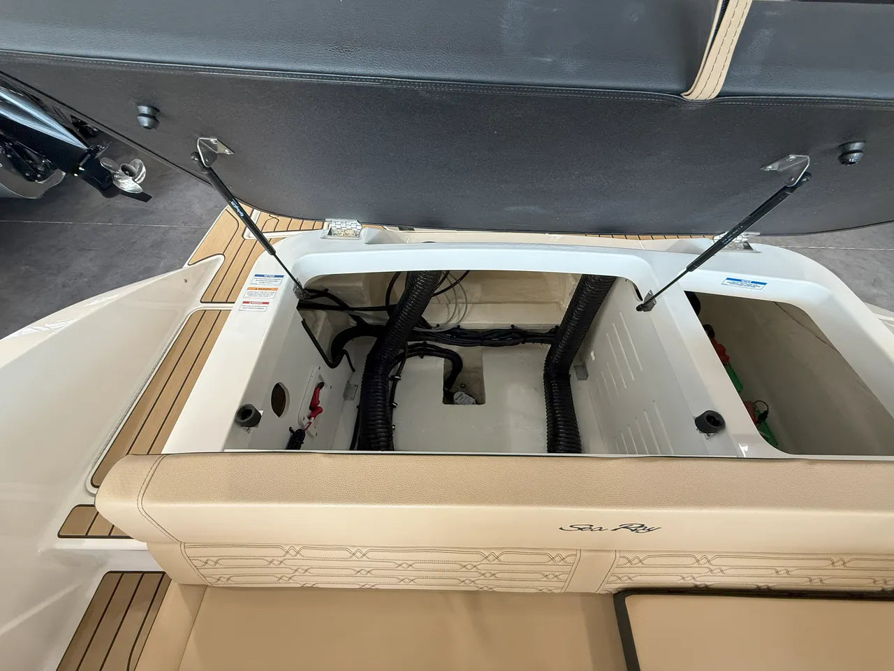 2025 Sea Ray SPX 190 Outboard 19.0 feet, Clearwater, Florida #9