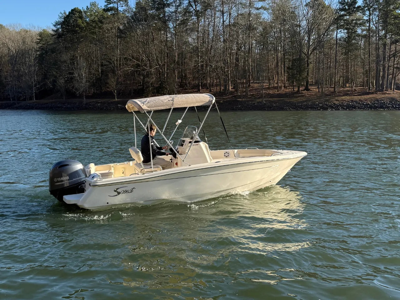 2026 Scout 188 Sportfish 18.0 feet, Clearwater, Florida #6