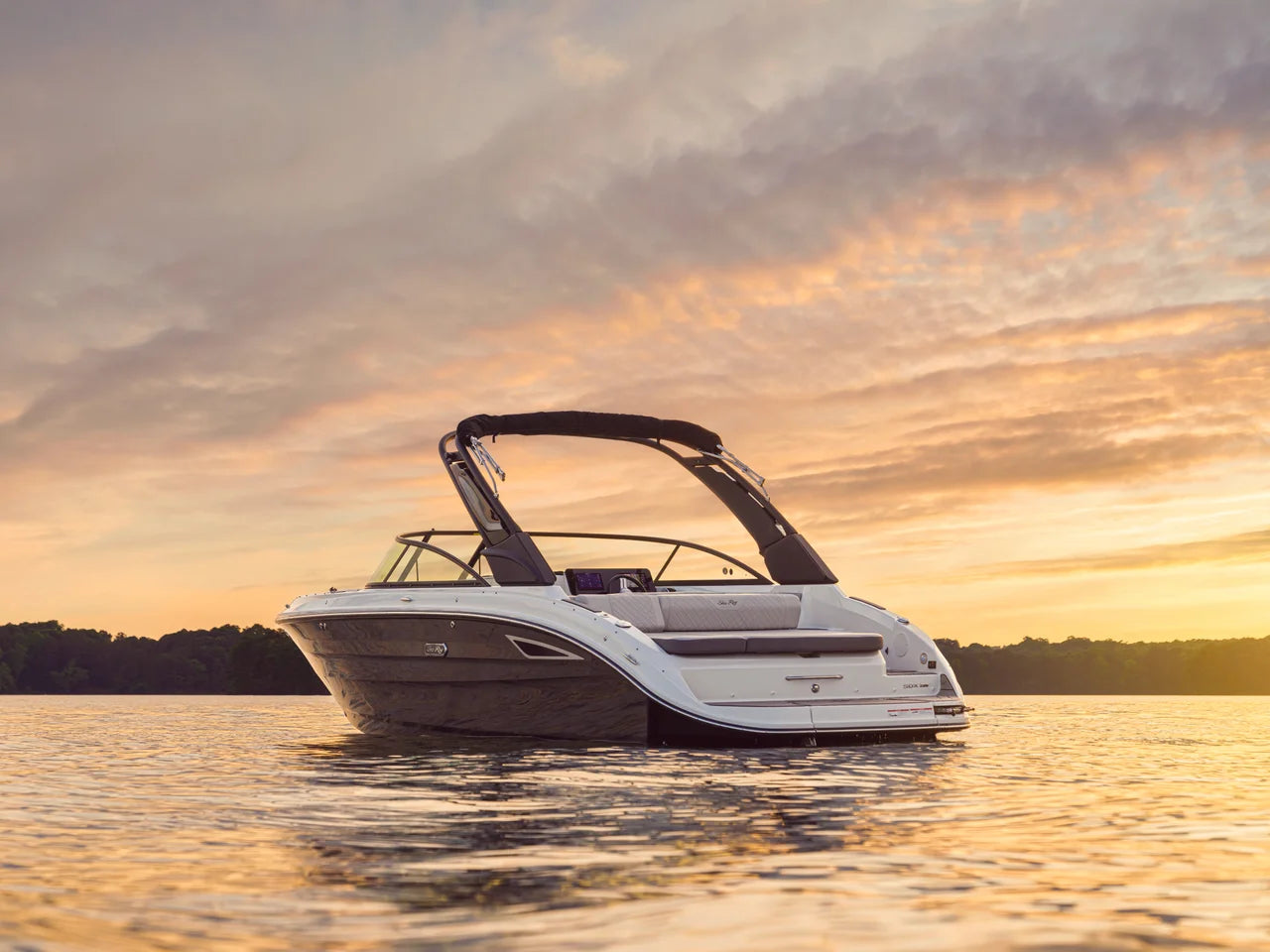 2026 Sea Ray SDX 250 25.0 feet, Clearwater, Florida #12