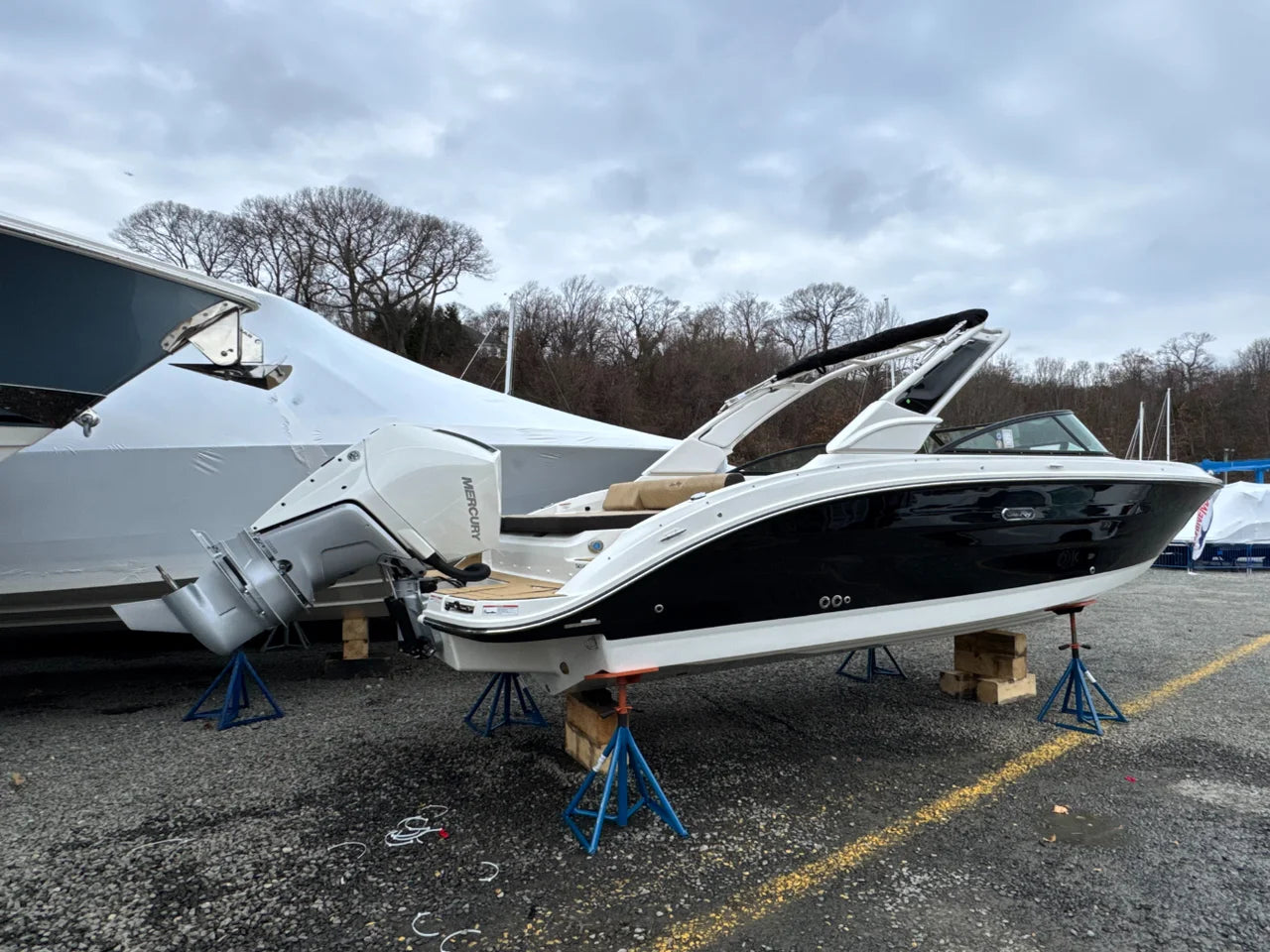 2026 Sea Ray SDX 250 Outboard 25.0 feet, Clearwater, Florida #3