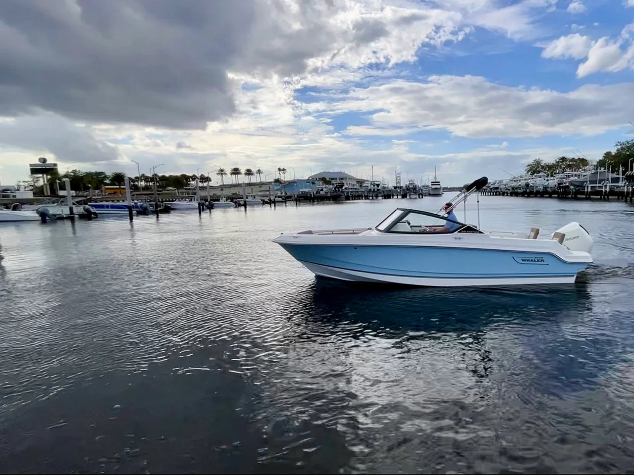 2025 Boston Whaler 210 Vantage 21.0 feet, Clearwater, Florida #1