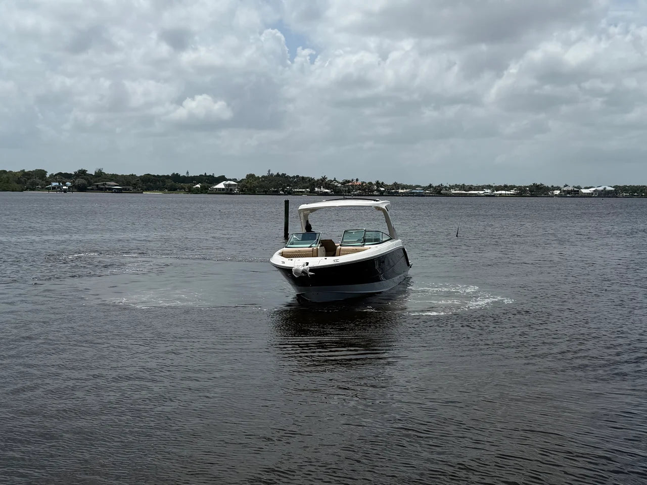 2026 Sea Ray SLX 310 Outboard 31.0 feet, Clearwater, Florida #10