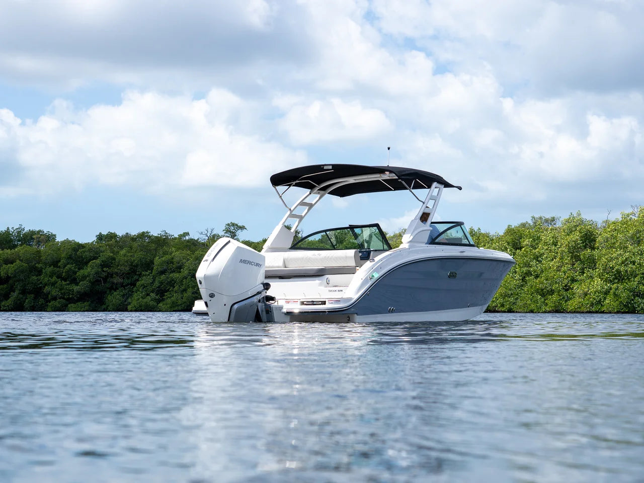 2026 Sea Ray SDX 270 Outboard 27.0 feet, Clearwater, Florida #23