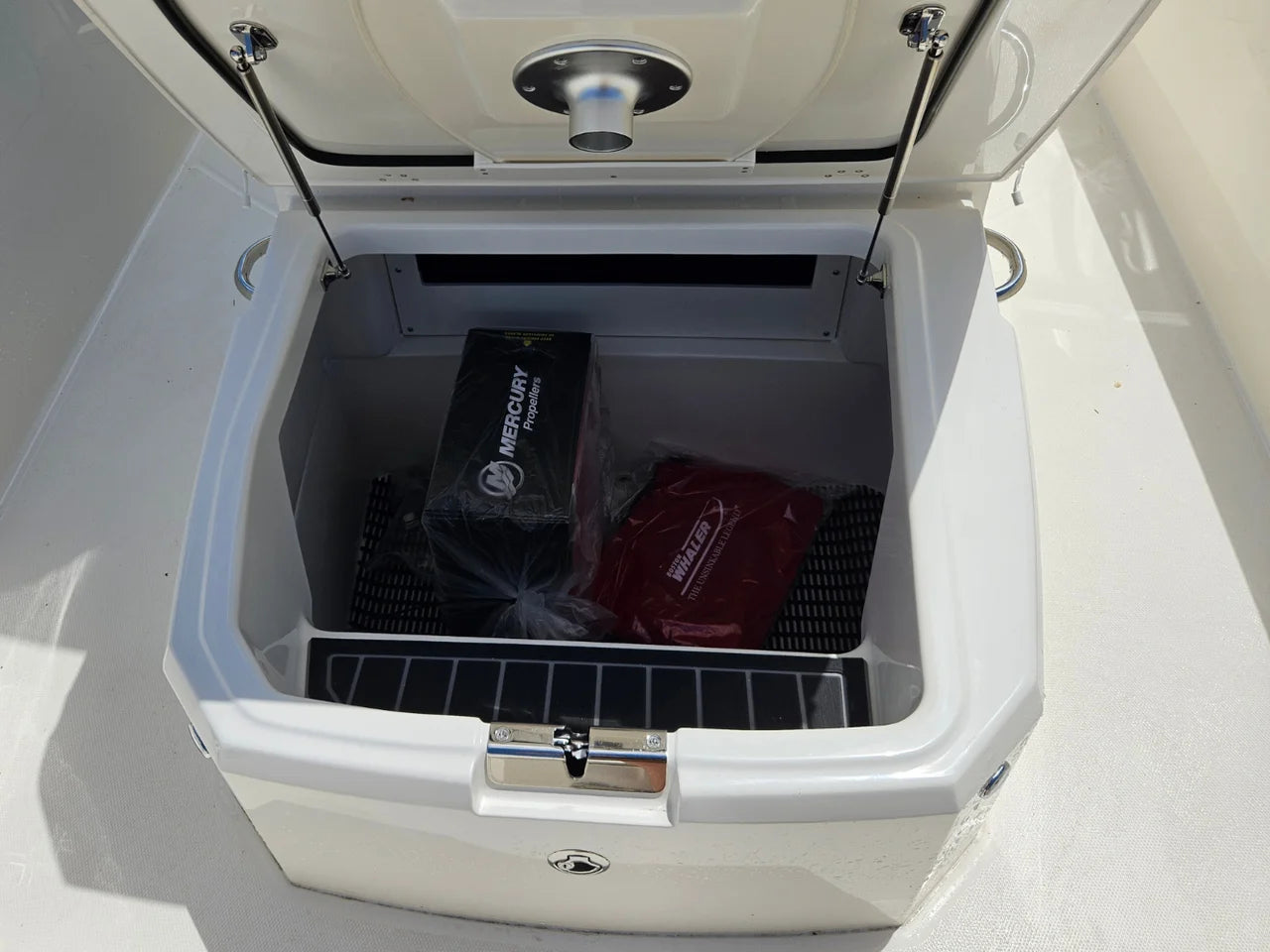 2026 Boston Whaler 250 Dauntless 25.0 feet, Clearwater, Florida #26