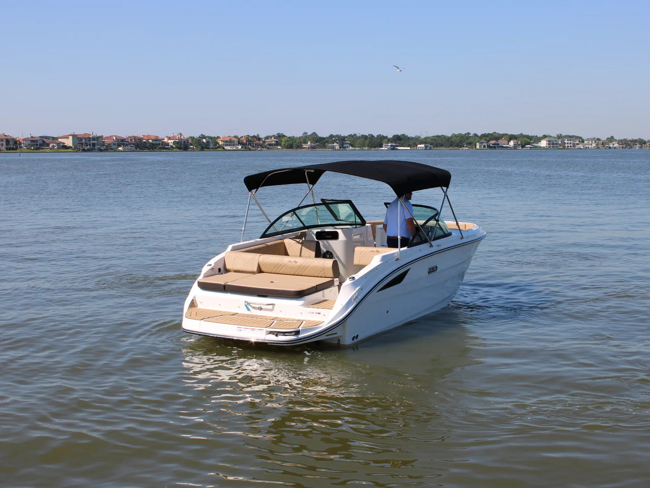 2026 Sea Ray SDX 230 23.0 feet, Clearwater, Florida #10