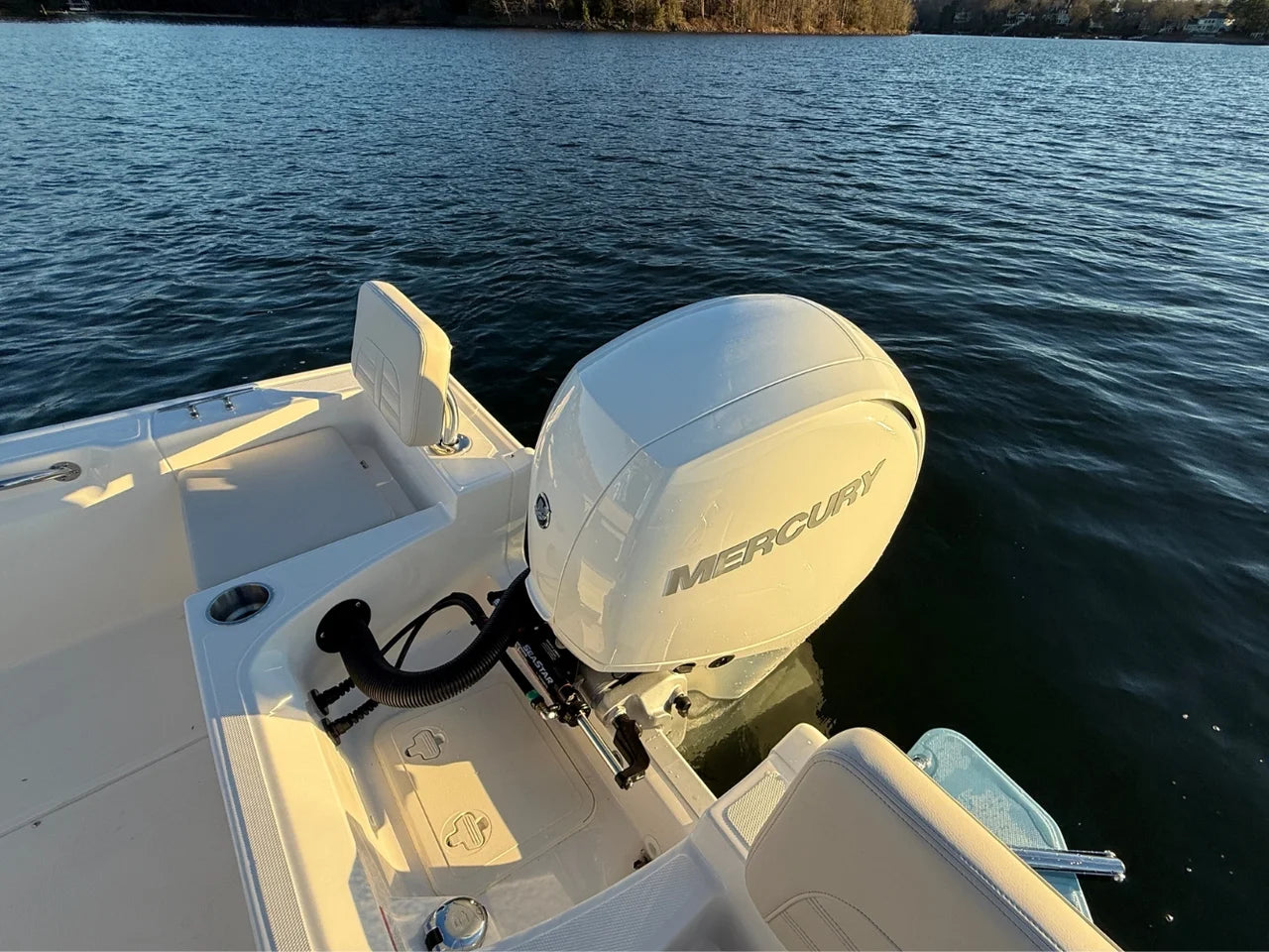 2026 Boston Whaler 190 Montauk 19.0 feet, Clearwater, Florida #8
