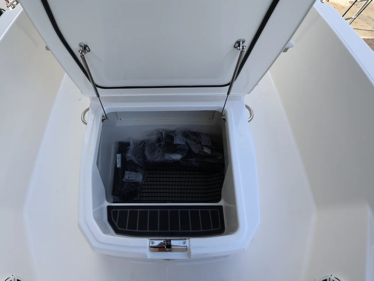 2026 Boston Whaler 220 Dauntless 22.0 feet, Clearwater, Florida #24