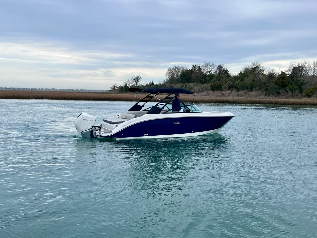 2026 Sea Ray SDX 250 Outboard 25.0 feet, Clearwater, Florida #4
