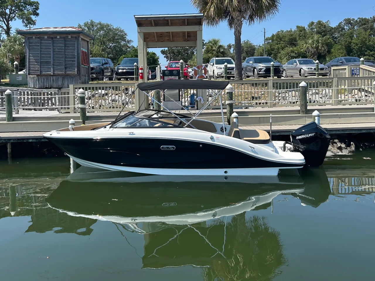 2026 Sea Ray SPX 210 Outboard 21.0 feet, Clearwater, Florida #2