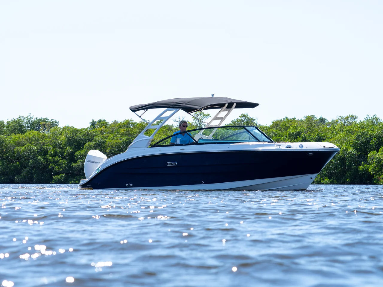 2026 Sea Ray SDX 250 Outboard 25.0 feet, Clearwater, Florida #1