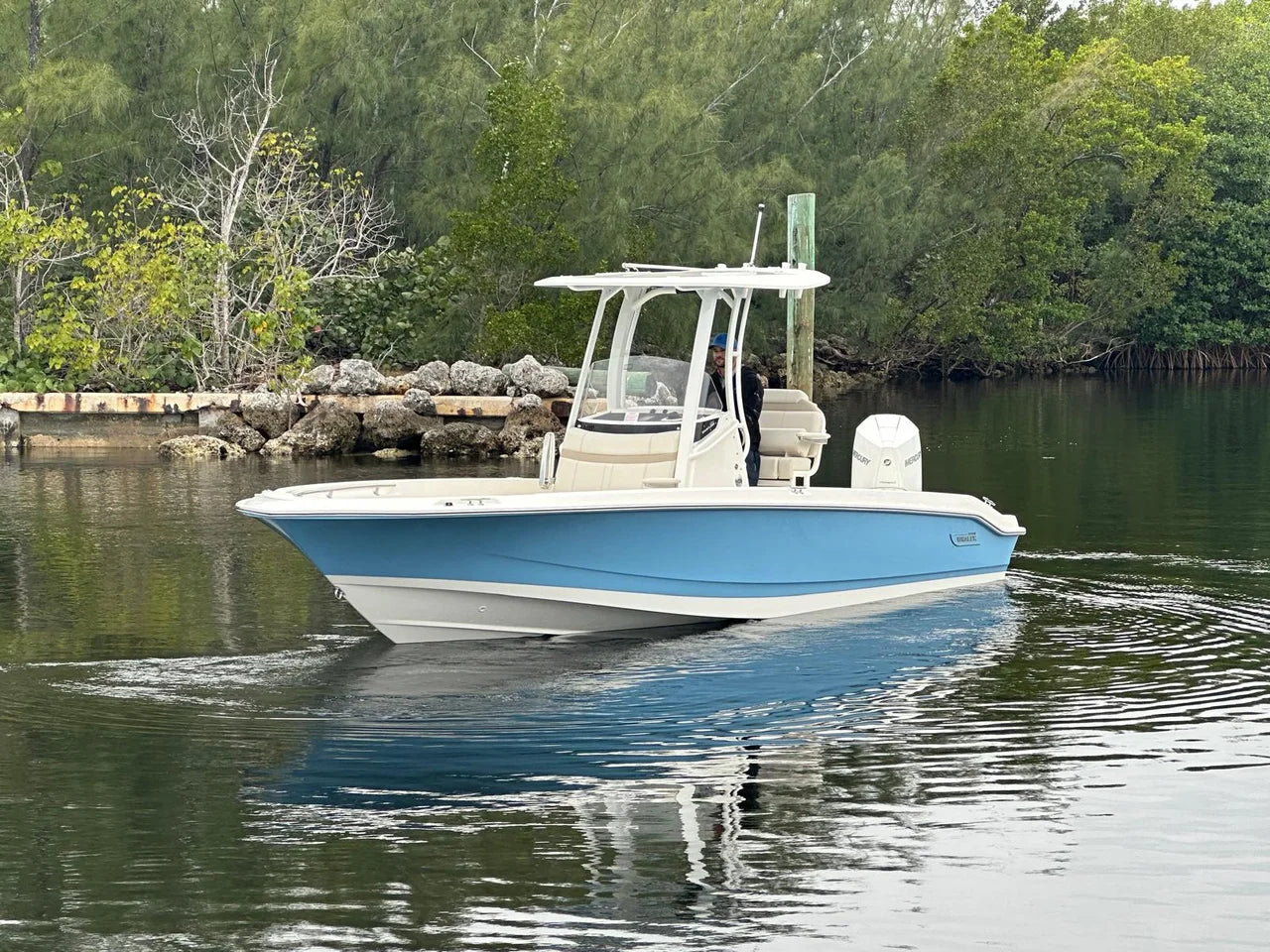 2026 Boston Whaler 250 Dauntless 25.0 feet, Clearwater, Florida #2
