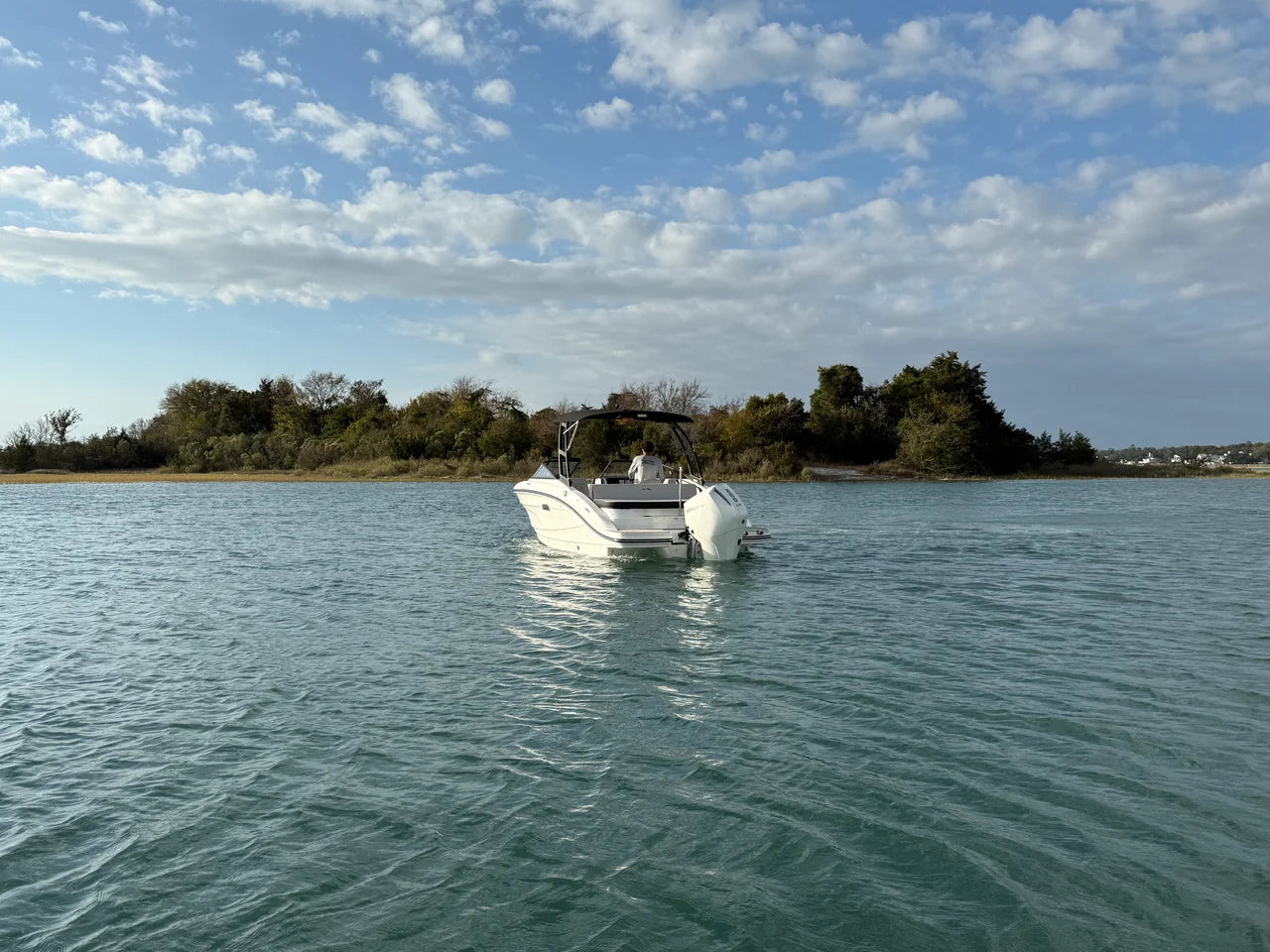 2026 Sea Ray SPX 210 Outboard 21.0 feet, Clearwater, Florida #4