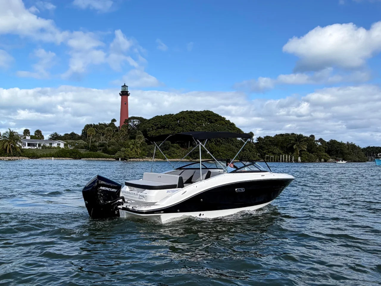 2026 Sea Ray SPX 210 Outboard 21.0 feet, Clearwater, Florida #3