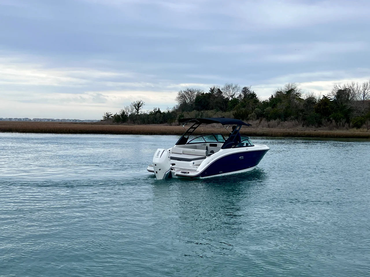 2026 Sea Ray SDX 250 Outboard 25.0 feet, Clearwater, Florida #5