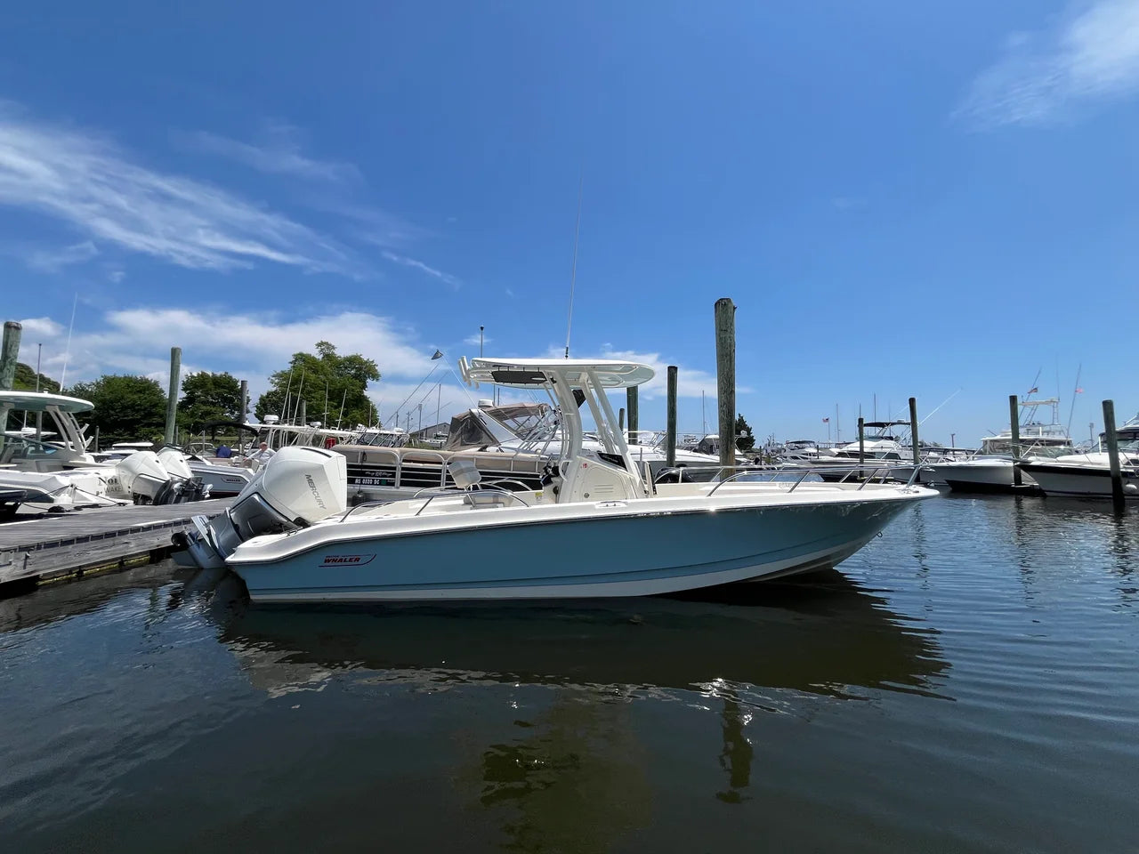 2026 Boston Whaler 250 Dauntless 25.0 feet, Clearwater, Florida #33
