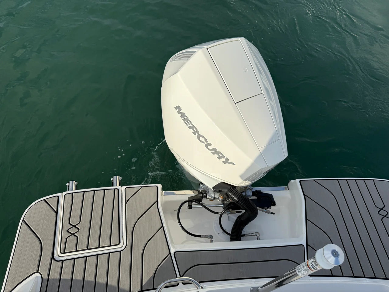 2026 Sea Ray SPX 210 Outboard 21.0 feet, Clearwater, Florida #5