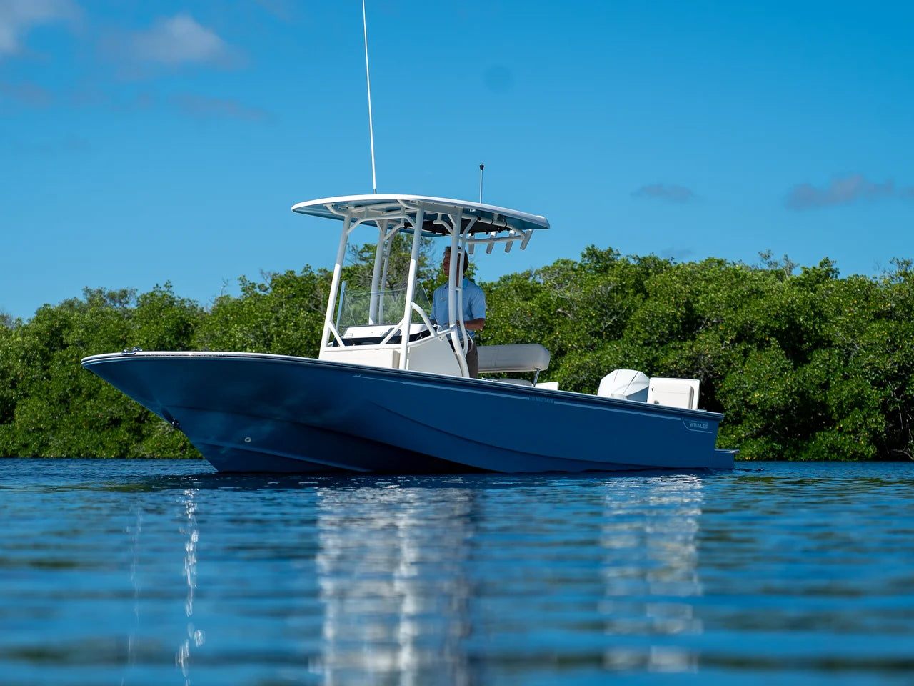 2026 Boston Whaler 210 Montauk 21.0 feet, Clearwater, Florida #27