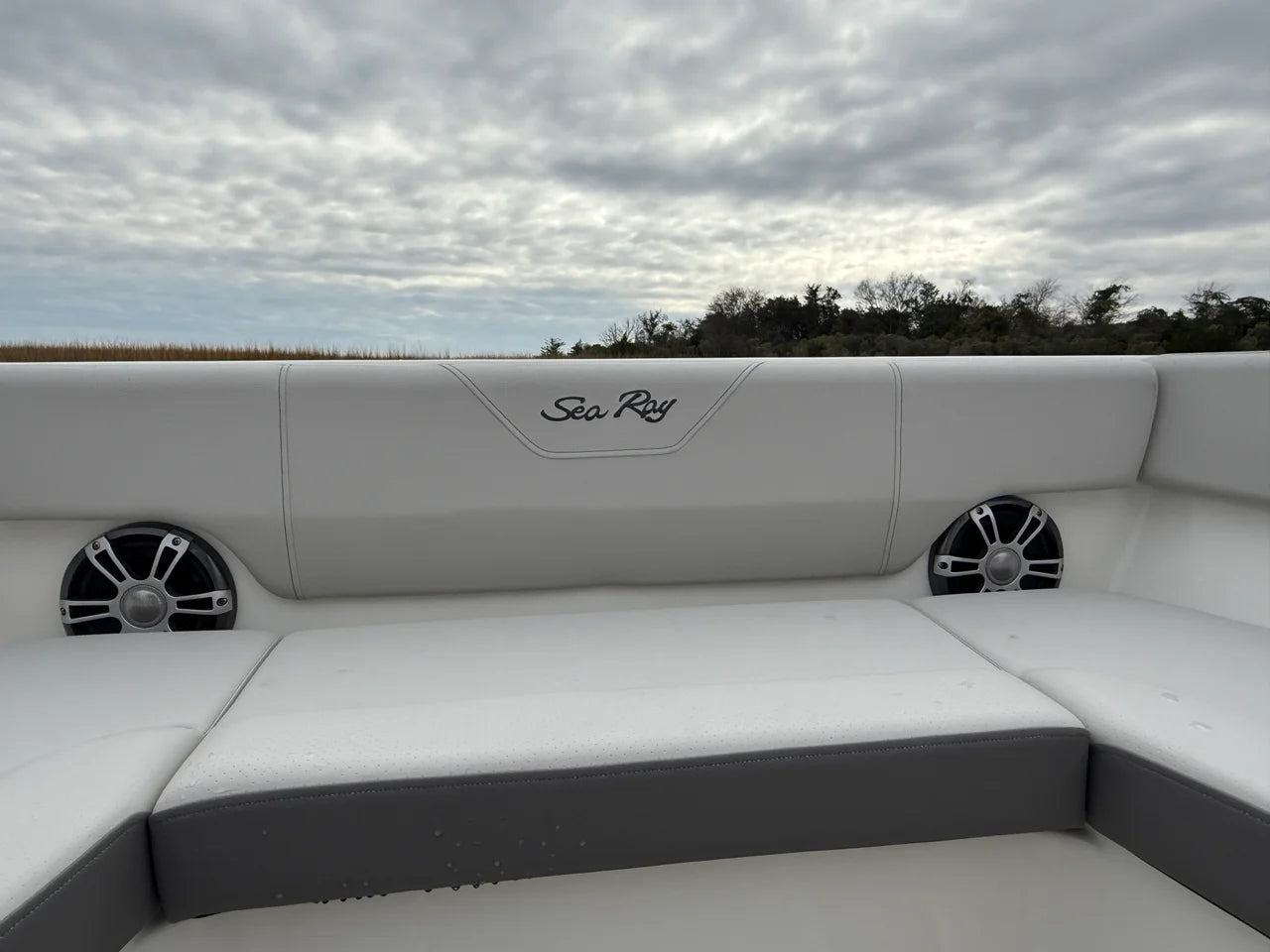 2026 Sea Ray SDX 270 Outboard 27.0 feet, Clearwater, Florida #10
