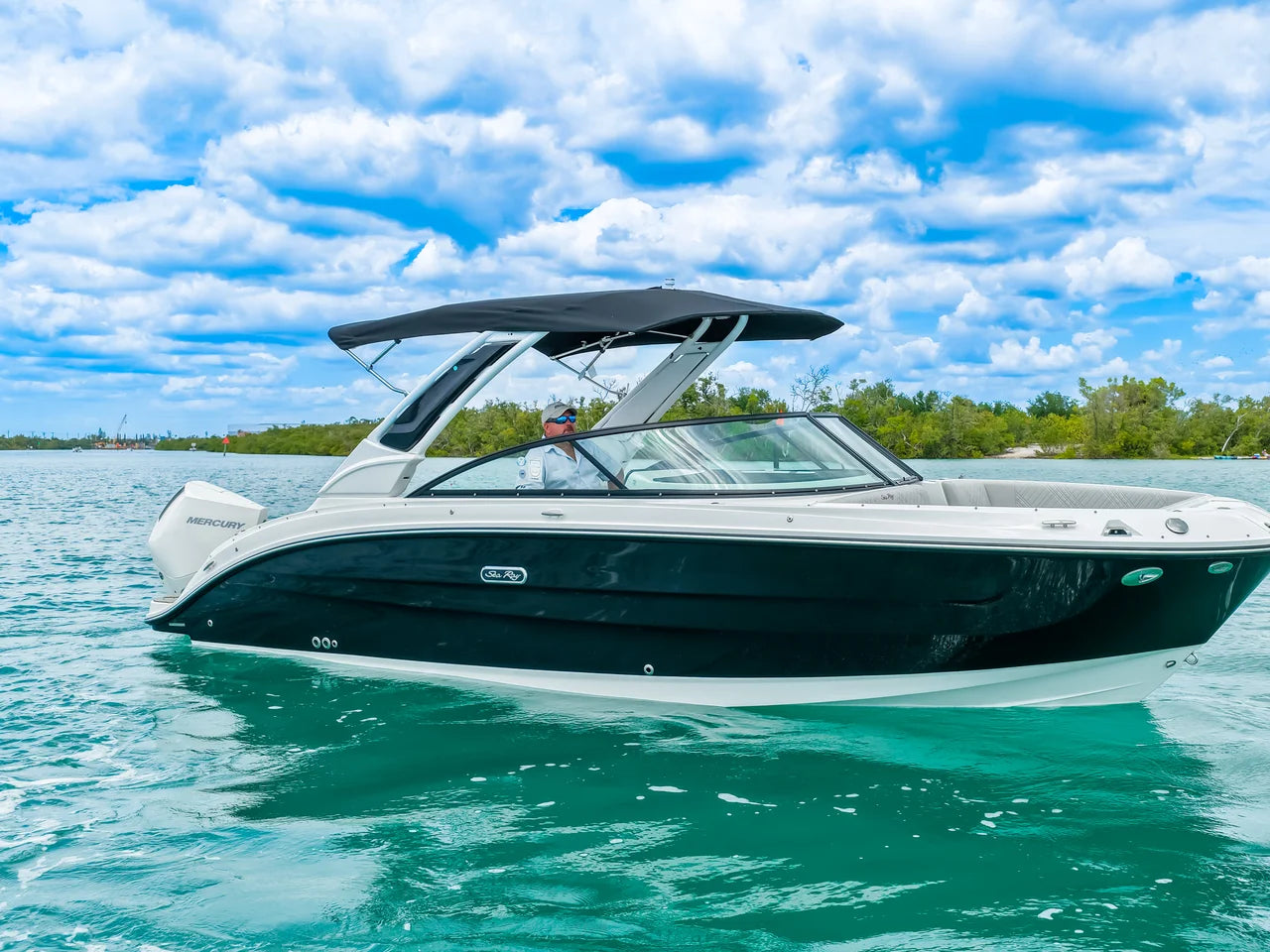 2026 Sea Ray SDX 250 Outboard 25.0 feet, Clearwater, Florida #1