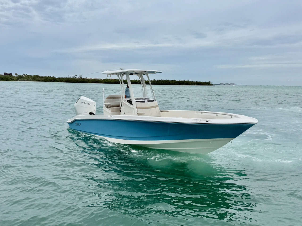 2026 Boston Whaler 250 Dauntless 25.0 feet, Clearwater, Florida #3