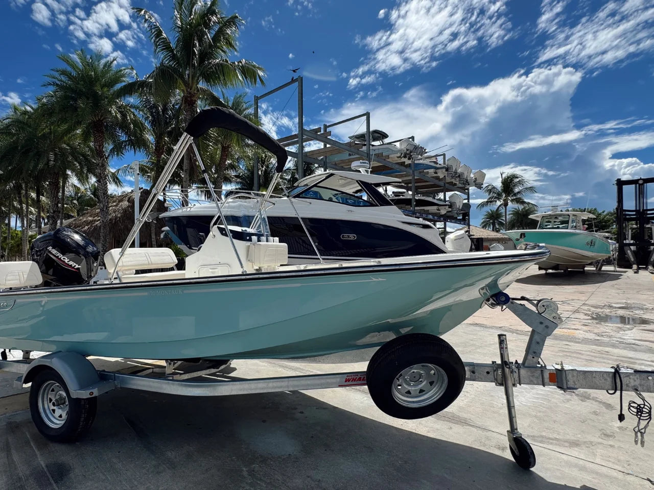 2026 Boston Whaler 170 Montauk 17.0 feet, Clearwater, Florida #3